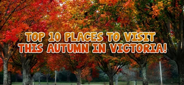 Top 10 places to visit this Autumn in Victoria!