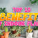 Blog Post Top 10 benefits of Indoor plants copy