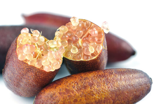 Citrus 'Pink Ice' Finger Lime