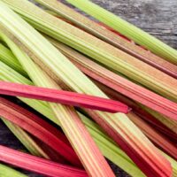 Hello Hello Plants Nursery Campbellfield Melbourne Victoria Australia Rhubarb rheum stem green to red