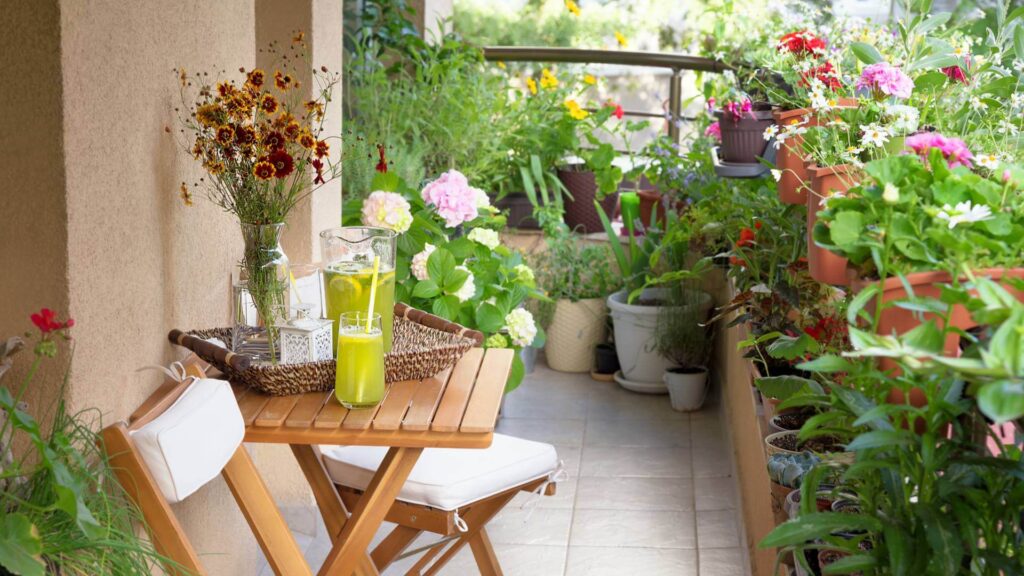 Hello Hello Plants Nursery Campbellfield Melbourne Victoria Australia Balcony garden potted garden chairs and table outside potted garden