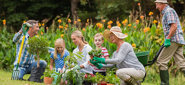 Family gardening together