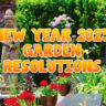 Blog Post 2023 New year Garden Resolution copy