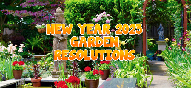 Blog Post 2023 New year Garden Resolution copy