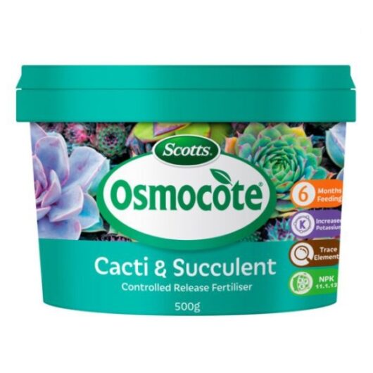 Osmocote Controlled Release Fertiliser: Cacti and Succulent 500g