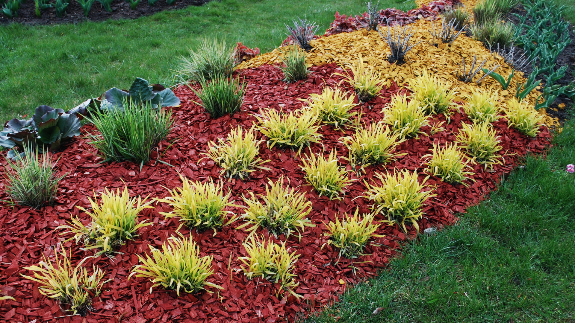 A mulched garden bed is the last step of winter garden maintenance