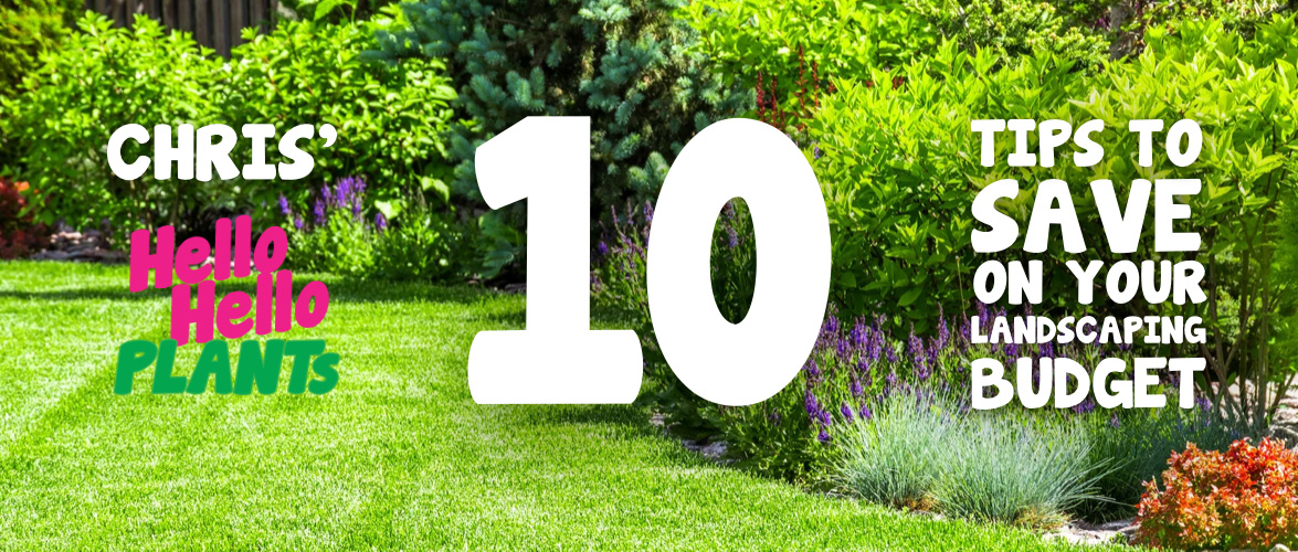10 useful tips to save money on your landscaping or garden budget