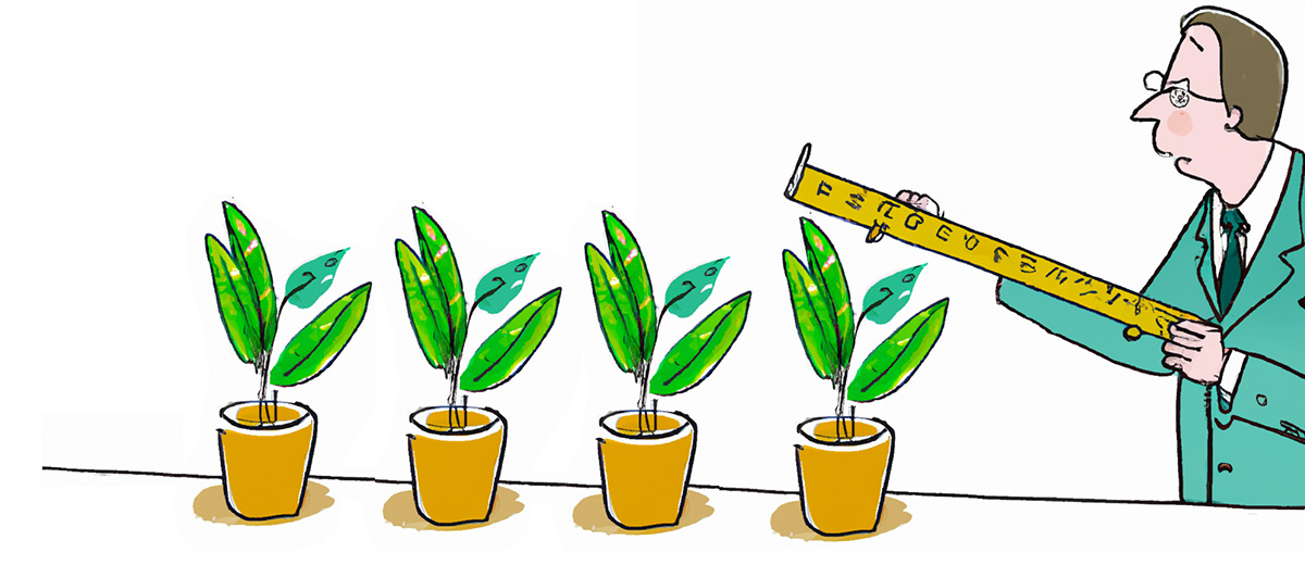 Illustration of an accountant determining the tax deduction for a plant