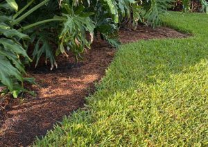 A natural edge garden bed with no stone, metal, wood or plastic edging installed