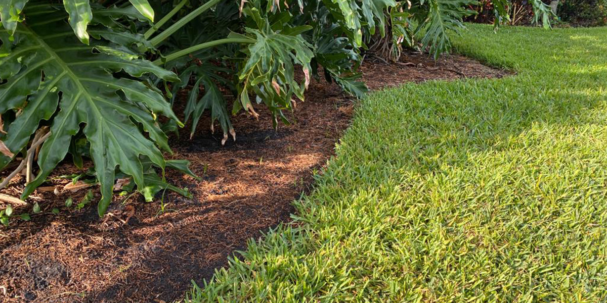 A natural edge garden bed with no stone, metal, wood or plastic edging installed