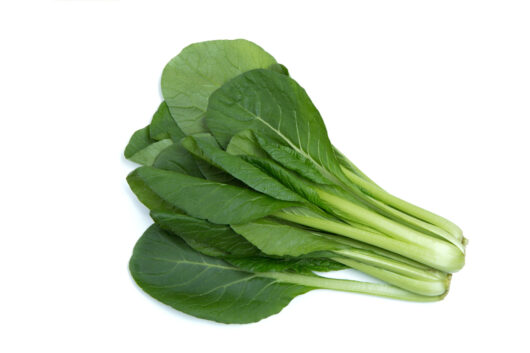 Komatsuna 'Japanese Mustard Greens' 4" Pot