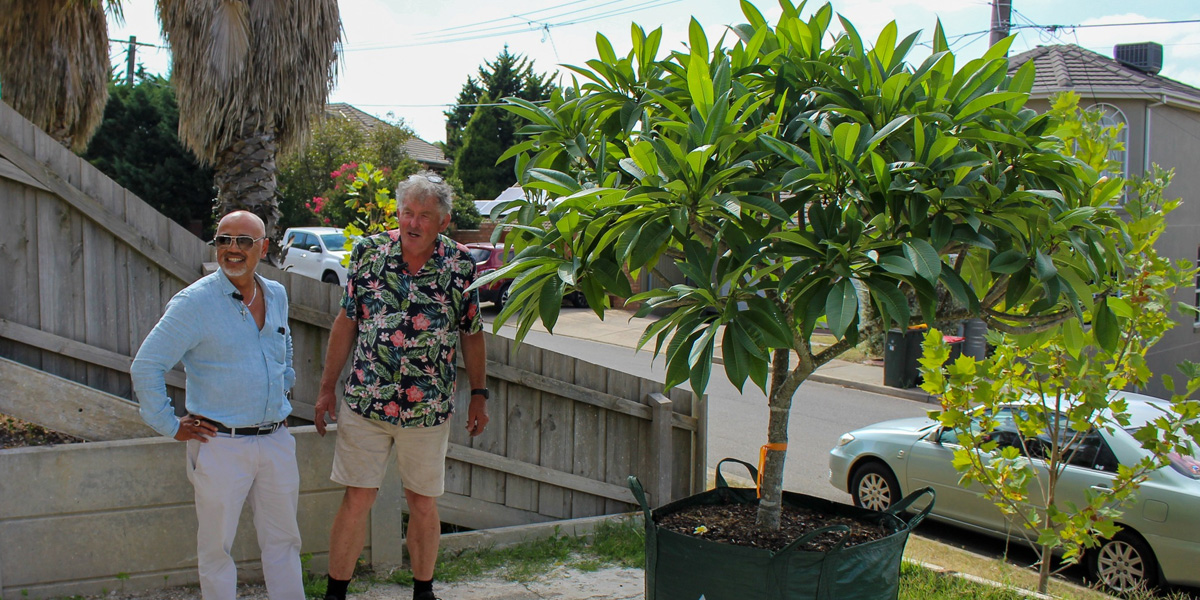 Customer Kim with the advanced frangipani we sourced for him