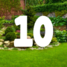 The Top 10 Plants for creating an instant garden transformation