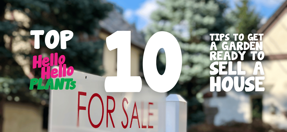 Hello Hello Plants 10 Tips to get a garden ready to sell a house