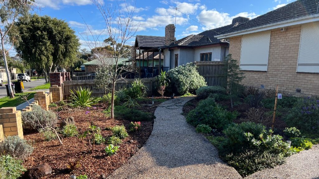 Melbourne garden after some winter garden maintenance