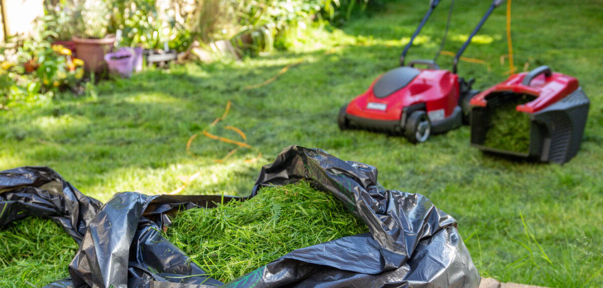 Lawn preparation and maintenance