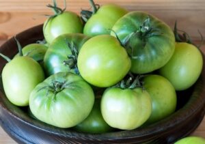 Solanum lycopersicum Tomato Lycopersicon esculentum Aunt Rubys German Green Tomato fruits edible