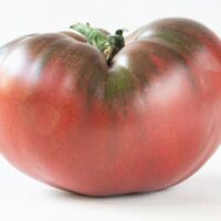 Tomato Pink Berkeley Tie Dye Solanum Lycopersicon Esculentum red and green striped tomato fruit edibles