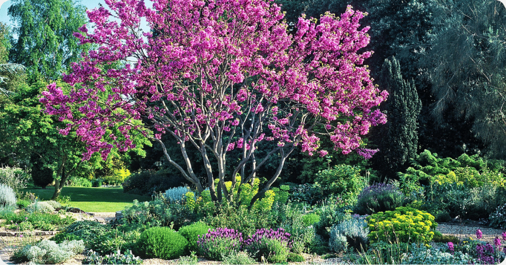 Compliment Trees with Flowers