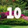 10 Tips-More Colourful Garden