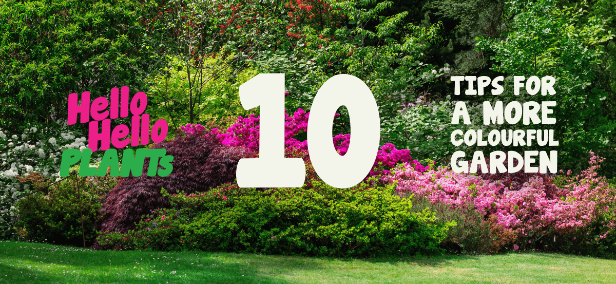 10 Tips for a More Colourful Garden