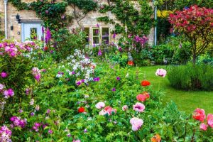 Coloured Garden