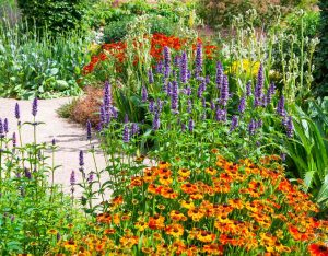 A garden with modern and colorful plants.