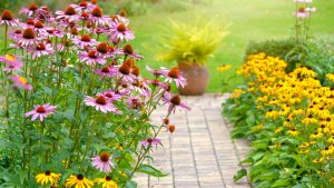 Colourful Garden