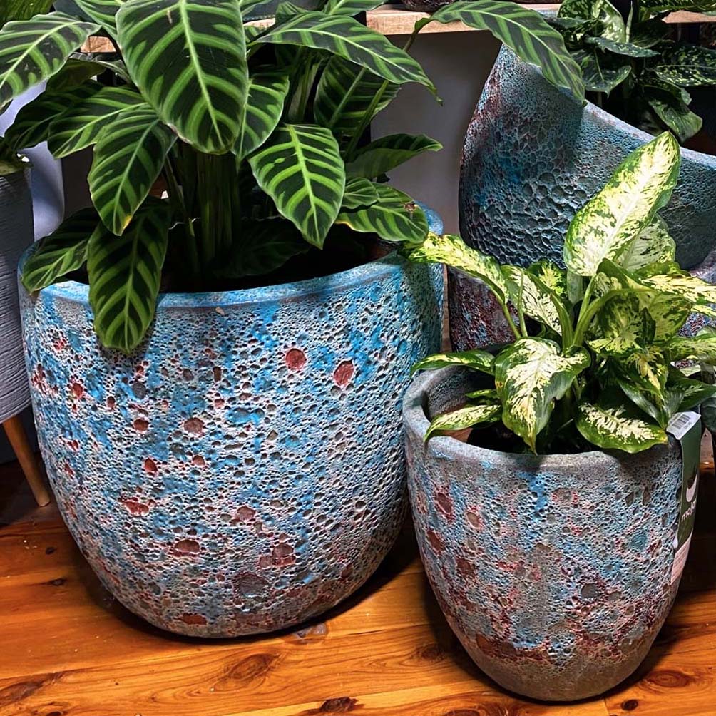 Earthenware Plant Pots