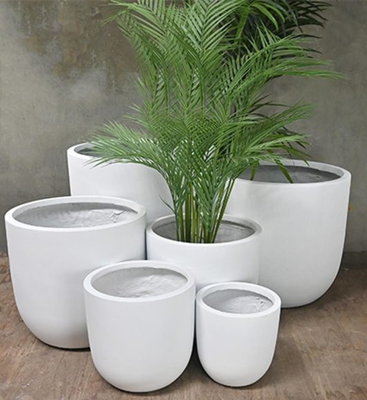 GardenLite Egg Planter White Assorted sizes 6 feature pots for plants with Palm Tree