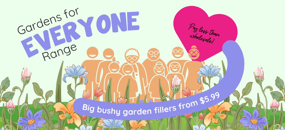 Feature image Affordable gardens for everyone!