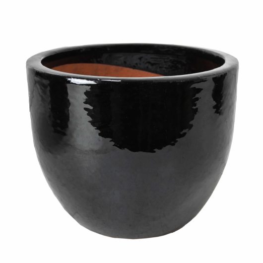 A Glazed Squat Egg pot black for feature plants