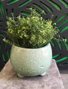 Tang Bowl with Feet Green DECORATIVE POT FOR FEATURE PLANTS