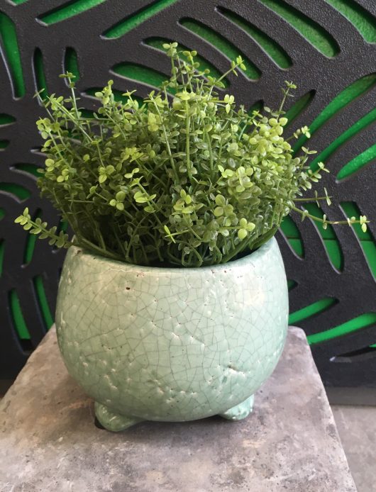 Tang Bowl with Feet Green DECORATIVE POT FOR FEATURE PLANTS