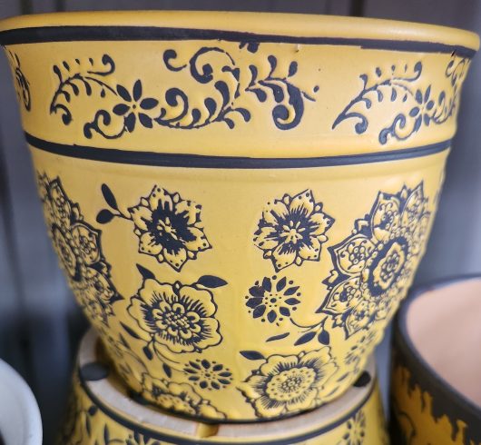 A group of Tang Mini Cover Flower Burst Yellow S 15x13cm pots on a table.