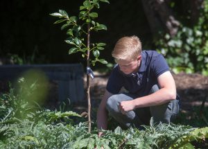 school bot gardening