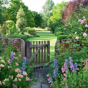 Cottage Garden