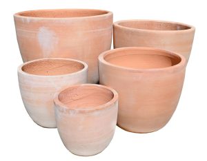 Whitewashed Terracotta Pots
