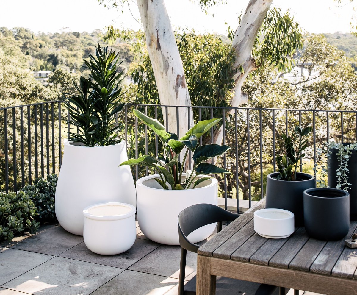How to dress up your Balcony, your Alfresco or Patio with pots & plants!