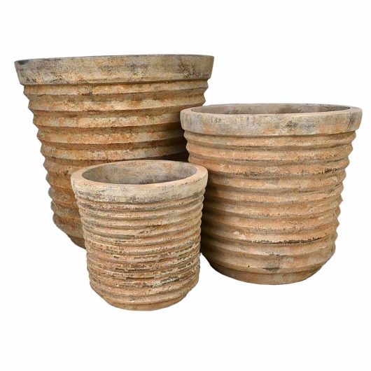 A set of Three Antique Terracotta Lined Planter pots for feature plants