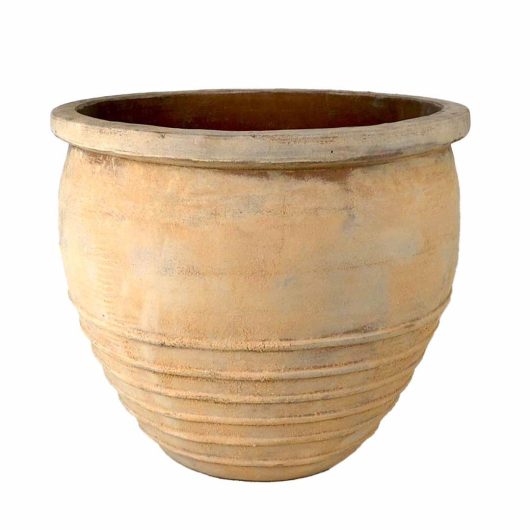 A large orange terracotta pot on a white background. feature pot for decorative plants