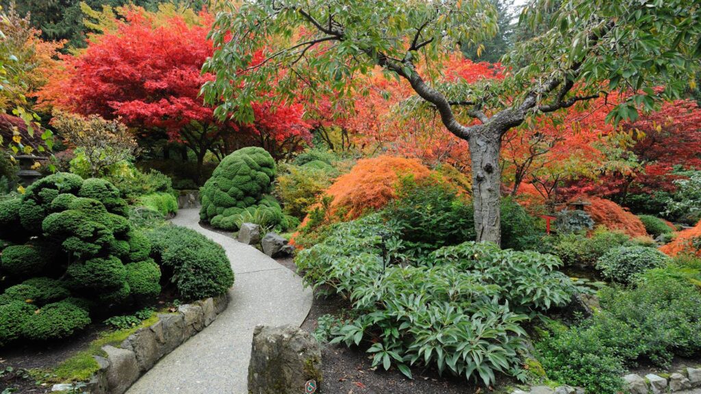 A modern Japanese garden with colorful trees and shrubs.