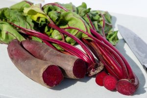 BEETROOT CYLINDRA VEGETABLE LONG ELONGATED EDIBLES PLANTS PURPLE