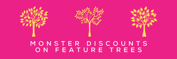 Monster discounts on feature trees.