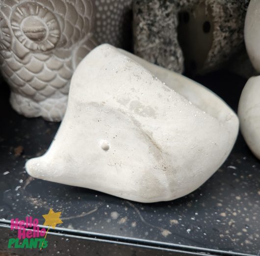 Dart Animal Hedgehog Planter Pot Cement Grey for plants