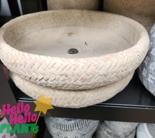 Dart Weave Bowl Coconut coloured with patterns for plants