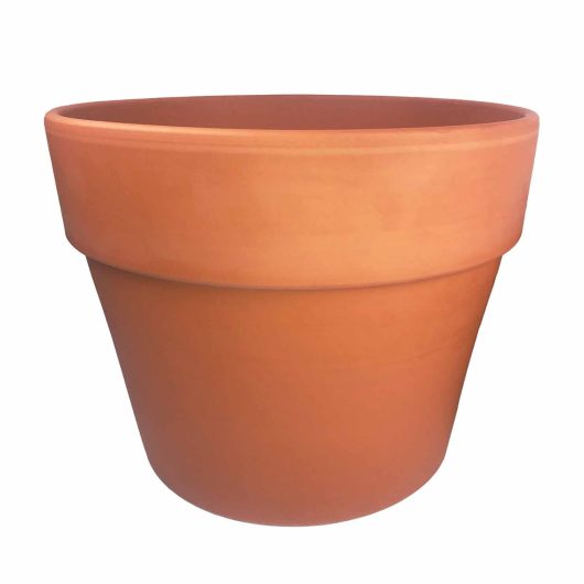 Eurocotta Calima Pot Traditional Orange clay terracotta pot for plants