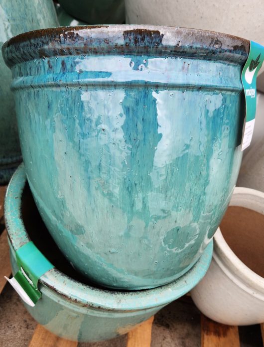 A group of Glazed Roll-Top Planter Moss Green XL 58x 48cm pots on a pallet.