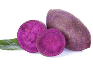 Ipomoea batatas Purple Sweet potato edible vegetable plant with bright purple flesh