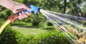 A person is watering a modern garden with a hose.